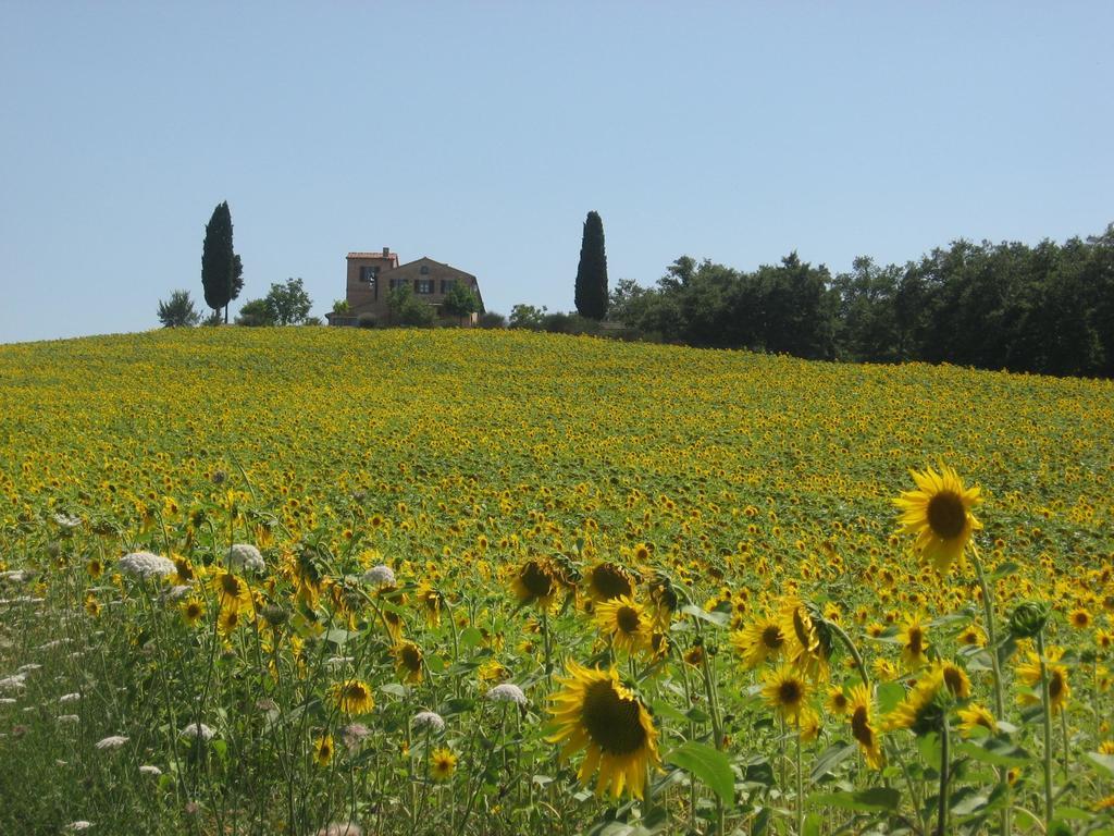 Agriturismo Chieteno Con Piscina E Ac- Четона Экстерьер фото